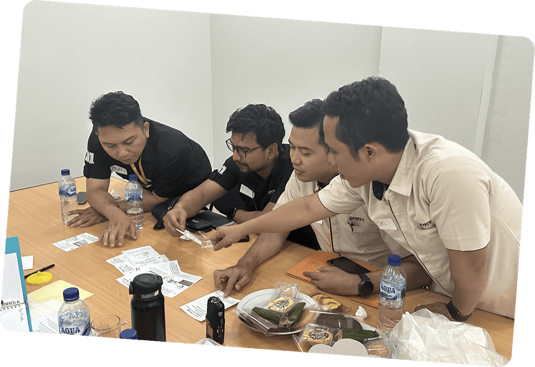 SomiaCX team working at the office